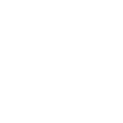 blank circle photo