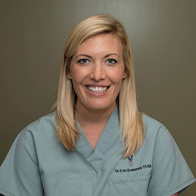 Dr. Erin E. Sweeney