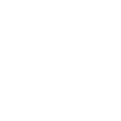 blank circle photo