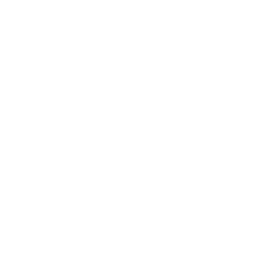 blank circle photo