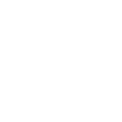 blank circle photo