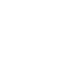 blank circle photo